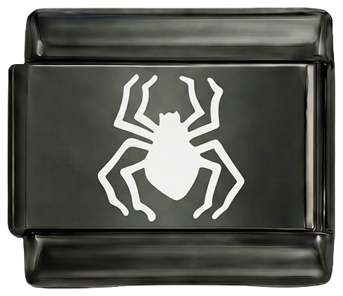 White Spider on Black