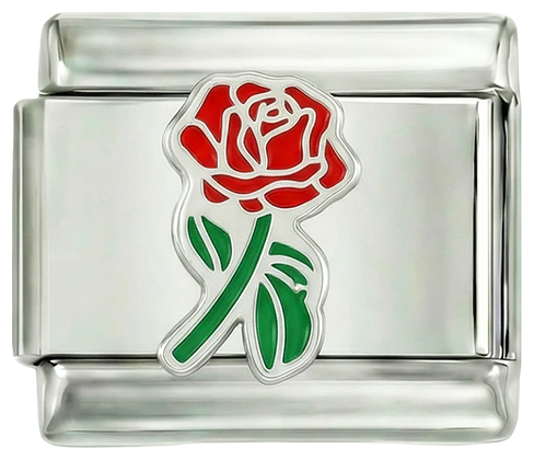 Whole Red Rose with Its Green Stem