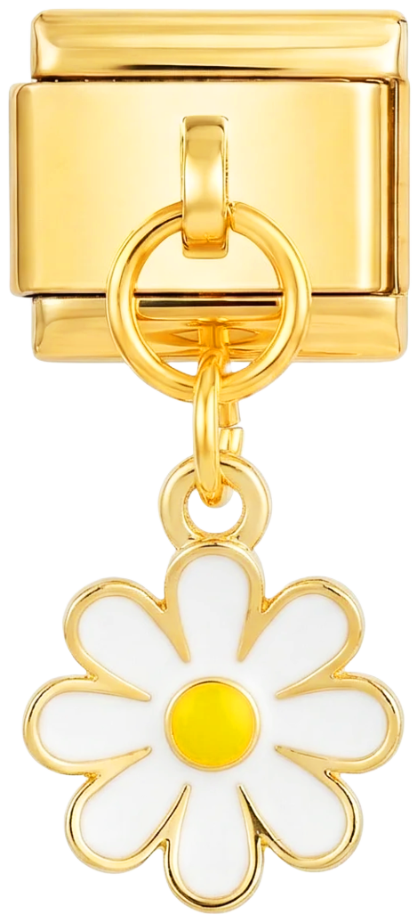 White Daisy Hanging on Gold - white-daisy-hanging-on-gold.png