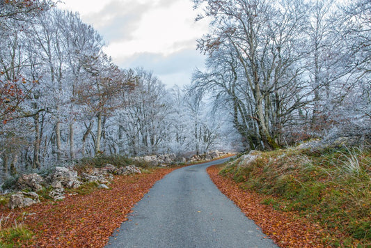 Tendances saisonnières : breloques incontournables pour chaque saison !