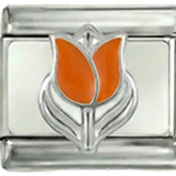 Dutch Tulip
