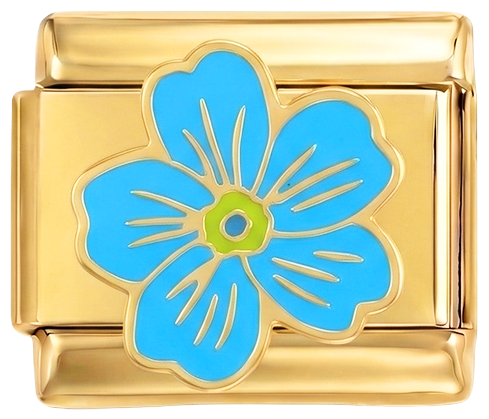 Image de la diapositive
