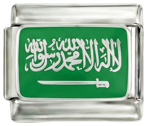 يُضاف لاحقًا - السعودية على الفضة