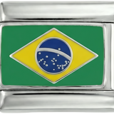 علم البرازيل، على الفضة