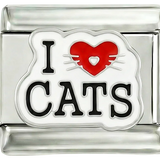 أحب القطط
