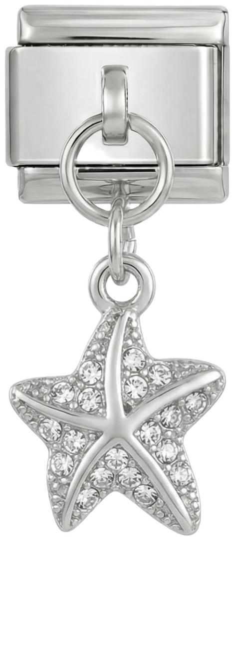 Starfish with Stones - starfish-with-stones.png